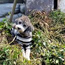 미르네농장 이미지