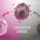 대신 약국 이미지