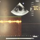 태백동물병원 이미지
