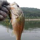 고남저수지 이미지