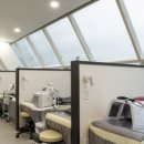 봄날피부과의원 이미지