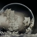 금성리빙텔 이미지