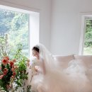 본식스냅 고르기 | 최종 선택 (마리 vs. 비아잔떼 vs. 더블라썸)