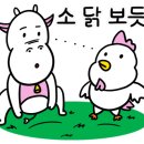 멕시카나광명 - 광명시 도덕공원로 17 | 멕시카나광명