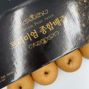 나주 수세미 생강 배도라지즙으로 환절기 기관지 건강 챙기자