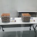 농업회사법인 한국양계(주) 이미지