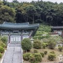 남해-240 이미지