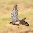 둥지밥상 이미지