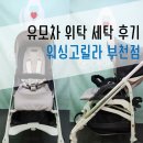 워싱고릴라 이미지