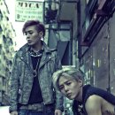 테이스티 이미지