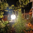 황용 민박 이미지