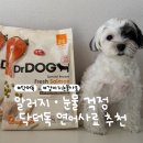 휴독 | 닥터독 강아지눈물사료 후기｜알러지·눈물 때문에 선택한 연어사료 2kg | 강아지눈물사료 추천