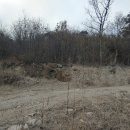 황용보건진료소 이미지