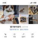 별다방 야옹이 이미지