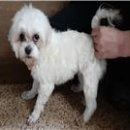 쌍미천로 이미지