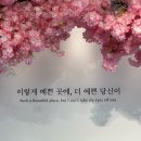 카페제니엘 매화점 네이버블로그