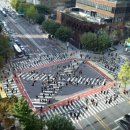 구청 앞 횡단보도 이미지