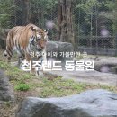 김해타조농장 | 청주 아이와 가볼만한곳 청주동물원(동물농장 갈비뼈 사자 바람이 근황)