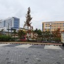 도담동_도램 1315동 앞 네이버블로그