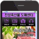 진성축산물도매센타