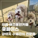 큣페이스 네이버블로그