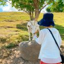 가곡목장 이미지