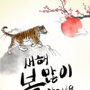 더플러스 안경콘택트 이미지