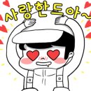 와보이소부산 이미지