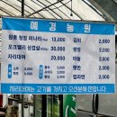 예경유통 | 양산 원동 예경농원 3번집 3번째 방문 내돈내산 솔직후기