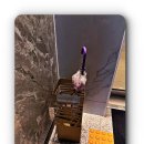 피부명가 이미지