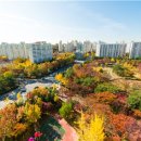 목동동로2길 이미지