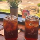 제시엘리스 이미지