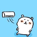 쪼쪼애견 | 강화도 전등사 방문 후기 (애견동반가능)