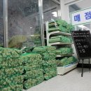 거장산오토캠핑장 이미지
