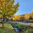 채움목장 이미지