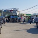 용호동 섶자리 이미지