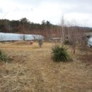 드림피아 이미지