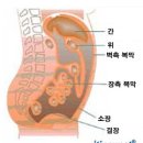 다니엘종합병원