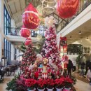 첼시 | 김포 대형 베이커리카페 카페드첼시 내돈내산 후기