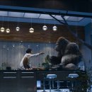 미스터고 이미지