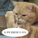 주식회사 본가한옥집 | 얼렁뚱땅 전주 일박이일 여행 후기 (한옥마을, 전동성당, 왱이콩나물국밥, 오목대, 해태바베큐)