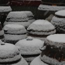 소록소록 이미지