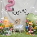 헬로, 멜로 | 특별한 날을 더 특별하게, 헬로멜로 파티테이블