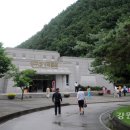 양구선사박물관 이미지