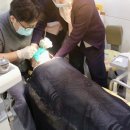 연세키즈몽치과의원 이미지