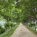 7월20일(월)안양천둘레길 이미지