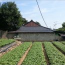 한천보건진료소 네이버블로그