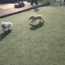 개스타하우스 이미지