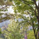 씨유진주강남로점 | 진주성 논개 촉석루 남강 청량하고 이쁜 경남 진주 가볼만한곳