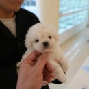 수원-1605 이미지